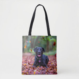 Bolso De Tela Labrador negro en hojas de otoño