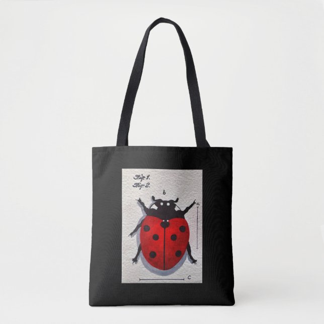 Bolso De Tela Ladybug (Anverso)