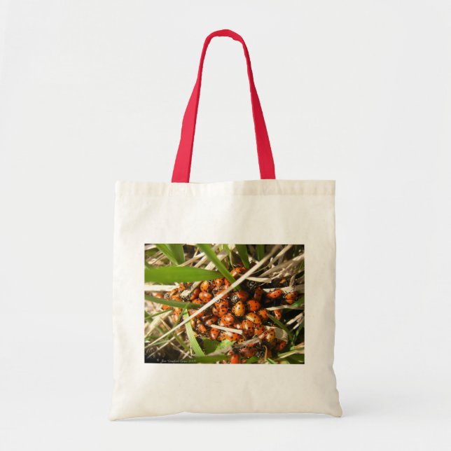 Bolso De Tela Ladybugs (Coccinellidae) (Frente)