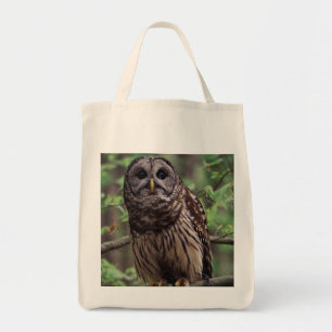 Bolso De Tela Lechuza Barred