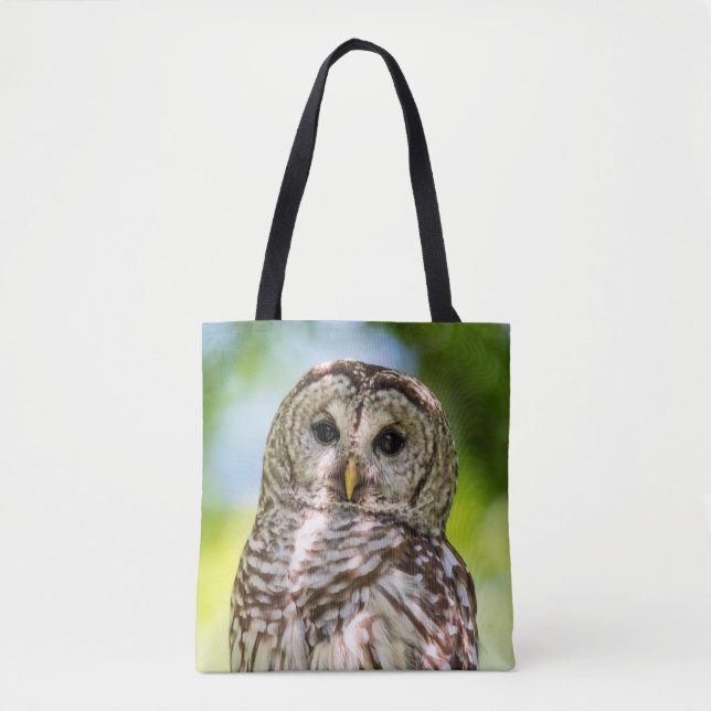 Bolso De Tela Lechuza Barred (Anverso)