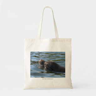 Bolso De Tela León Marino