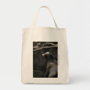 Bolso De Tela León Marino