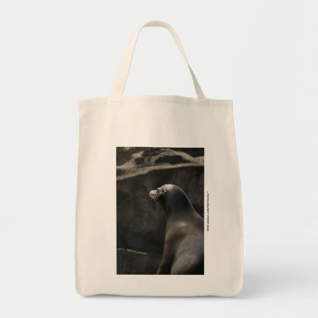 Bolso De Tela León Marino (Frente)