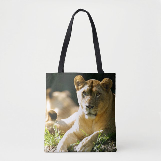 Bolso De Tela Leones (Anverso)