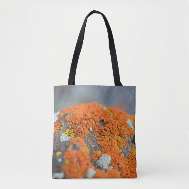 Bolso De Tela Lichen naranja moss stone gris (Anverso)
