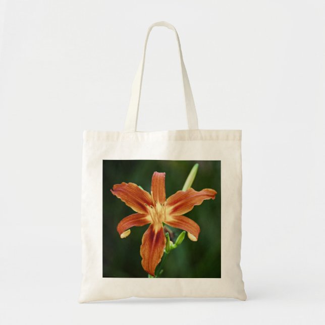 Bolso De Tela Lily P6588 Bag (Frente)