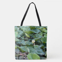Lilyshade Silencio
