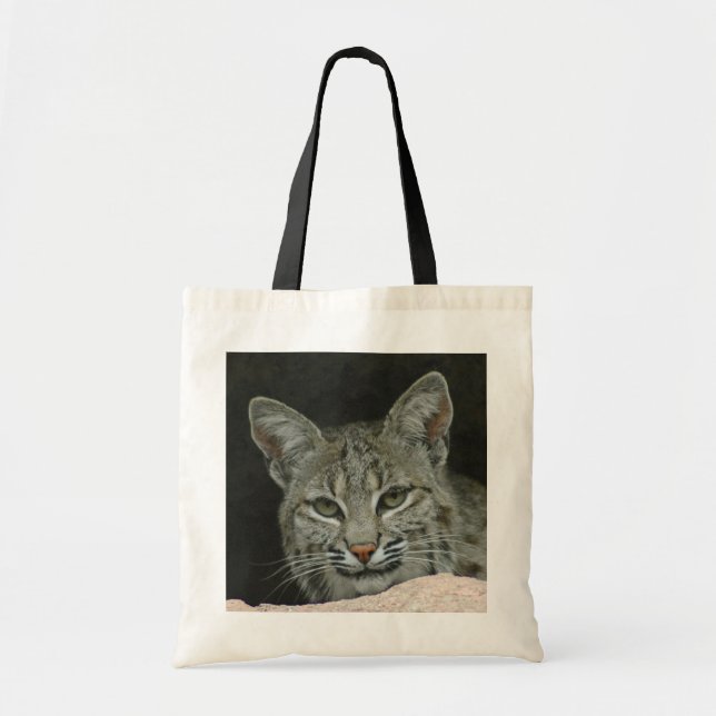 Bolso De Tela Lince (Frente)