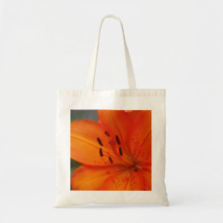 Bolso De Tela Lirio anaranjado