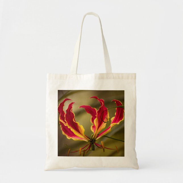 Bolso De Tela Lirio de escalada roja (Frente)