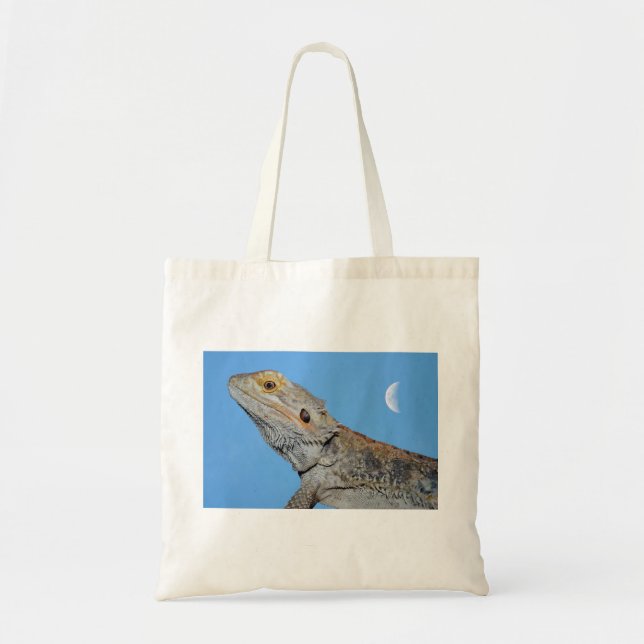 Bolso De Tela Lizard gris y media luna (Frente)