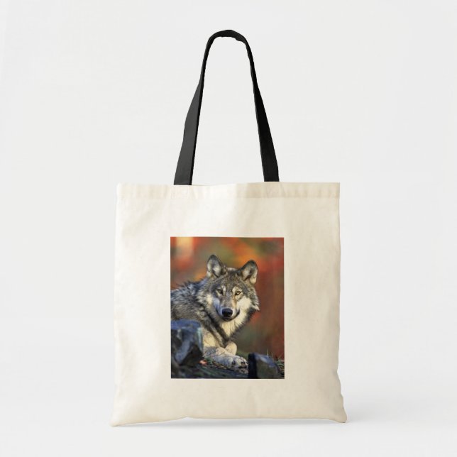 Bolso De Tela Lobo gris (Frente)