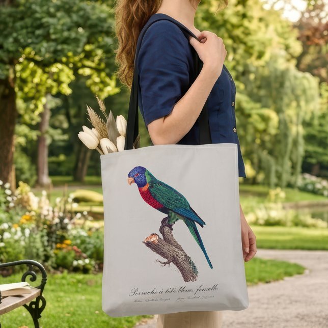 Bolso De Tela Loricito arcoíris hembra, Trichoglossus moluccanus (Perruche a tete bleue, femelle / Rainbow lorikeet, female. Tote Bag)