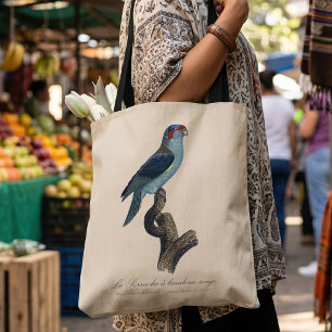 Bolso De Tela Loríquet de Musk, Trichoglossus concinnus