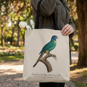 Bolso De Tela loriquito arcoíris juvenil Trichoglossus moluccanu