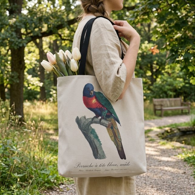 Bolso De Tela Loriquito Arcoíris Macho, Trichoglossus Moluccanus (Rainbow Lorikeet Male, Trichoglossus Moluccanus. Tote Bag)