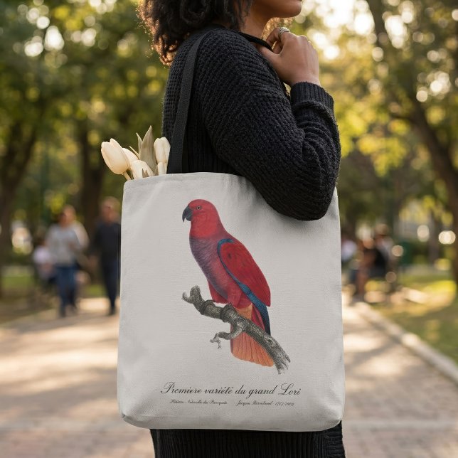 Bolso De Tela Loro Eclecto de Vosmaer, Eclectus Roratus Vosmaeri (Vosmaer Eclectus Parrot, Eclectus Roratus Vosmaeri. Tote Bag)