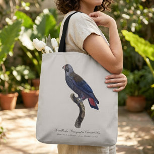 Bolso De Tela Loro obscuro o Pionus obscuro, Pionus fuscus