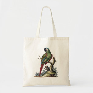 Bolso De Tela Loro verde antiguo