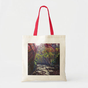 Bolso De Tela Luz dispersada 2013