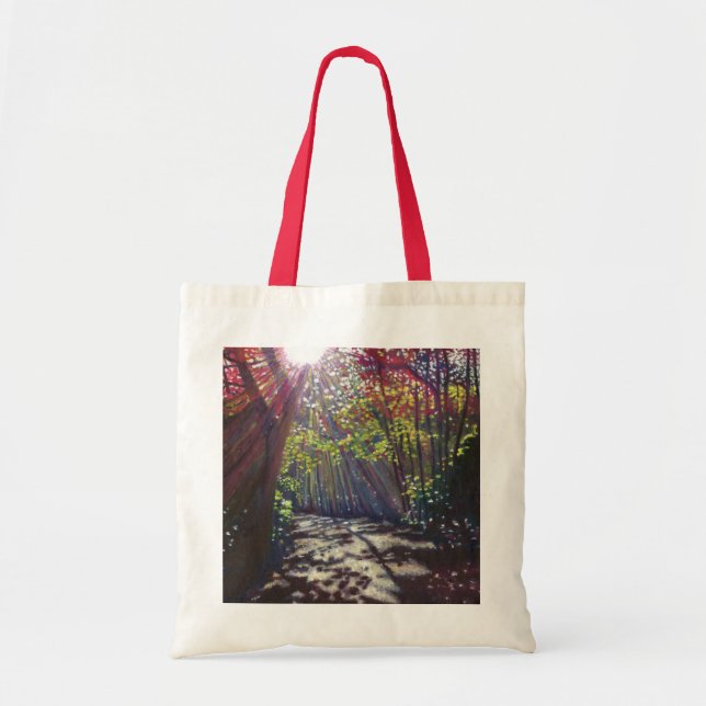 Bolso De Tela Luz dispersada 2013 (Frente)