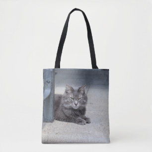 Bolso De Tela Maine Coon Cat