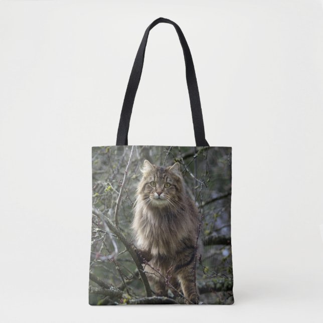 Bolso De Tela Maine Coon Long-hair Tabby Cat (Anverso)