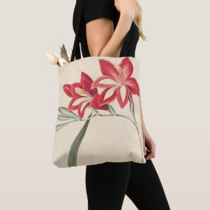 Bolso De Tela Maíz-Bandera magnífica