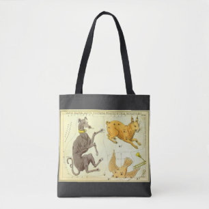 Bolso De Tela Mapa celestial de la astronomía vintage del espejo