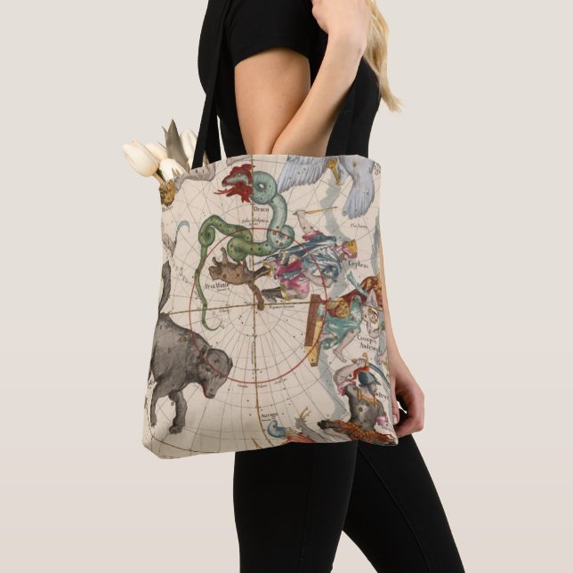 Bolso De Tela Mapa de la época del Polo Norte (Detalle)