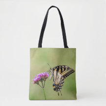 Mariposa Trasera del Tigre Oriental