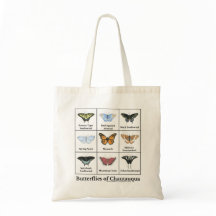 Mariposas de Chautauqua