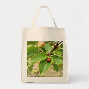 Bolso De Tela Mariquita Afortunada
