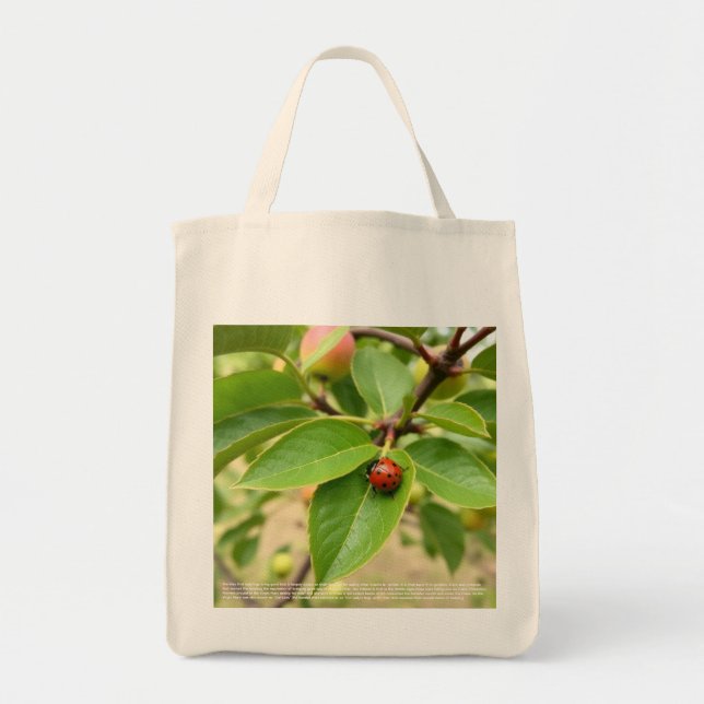 Bolso De Tela Mariquita Afortunada (Frente)