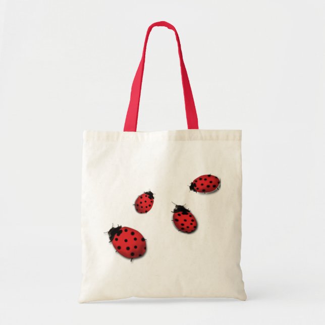 Bolso De Tela Mariquitas (Frente)