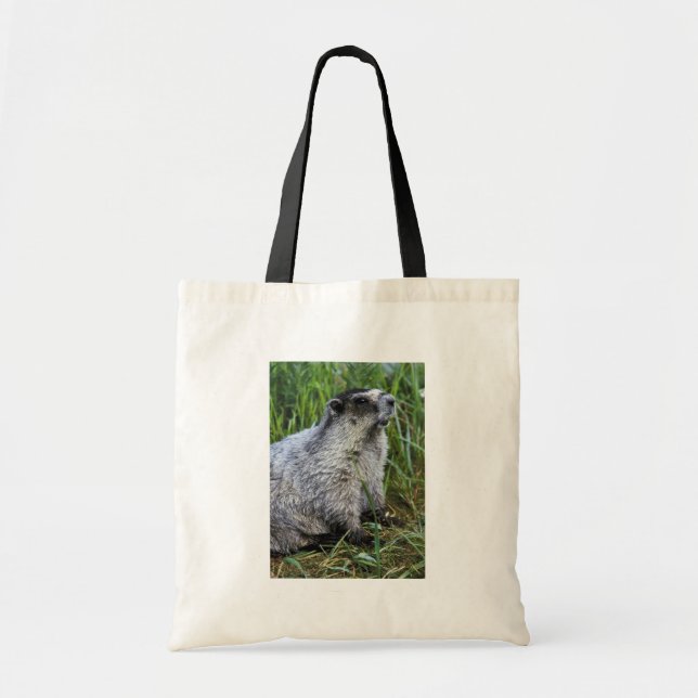 Bolso De Tela Marmota (Frente)