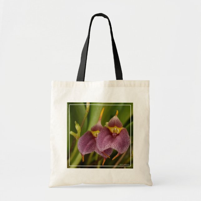 Bolso De Tela Masdevallia (Frente)