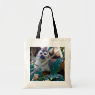 Bolso De Tela Mono ardilla en Manuel Antonio NP - Costa Rica