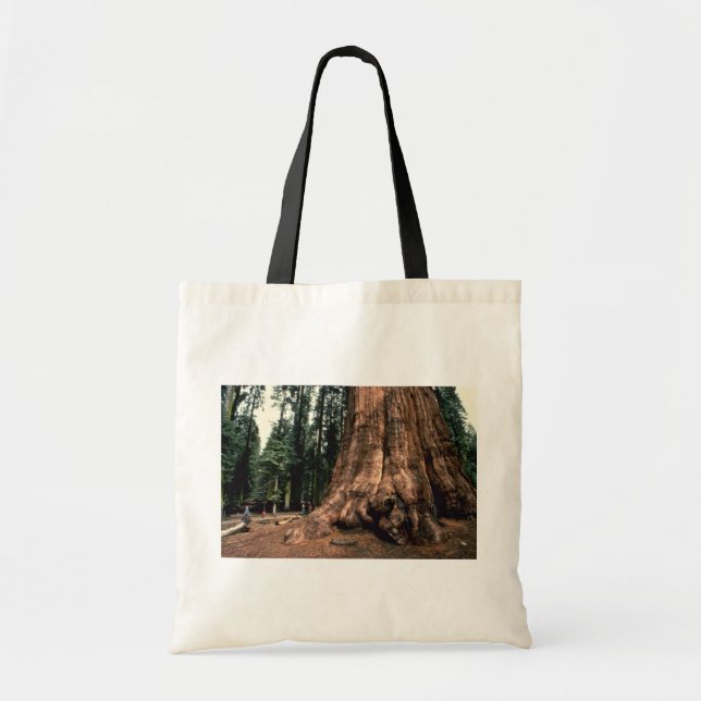 Bolso De Tela Montaña viva (Frente)