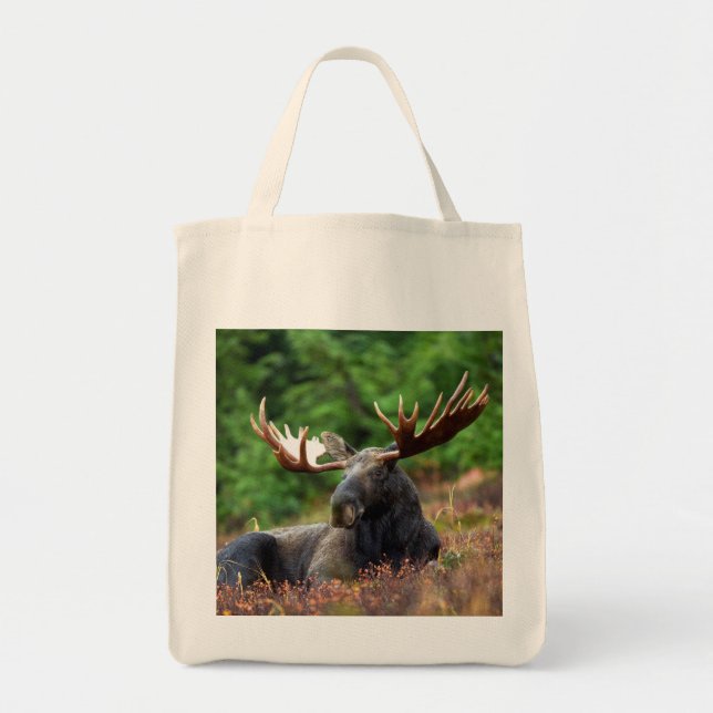 Bolso De Tela Moose Tote Bag (Frente)