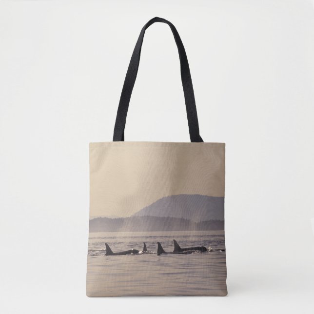 Bolso De Tela N.A., EE.UU., Washington, Islas San Juan Orca (Anverso)