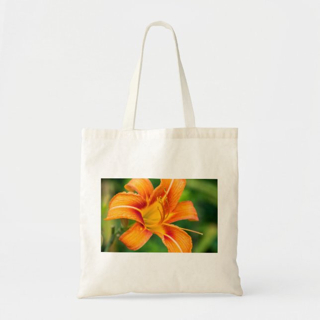 Bolso De Tela Naranja Lily (Frente)