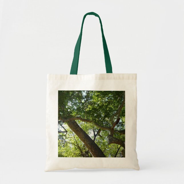 Bolso De Tela Naturaleza verde del árbol de Sycamore (Frente)