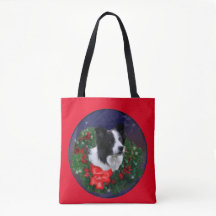 Navidades de Border Collie