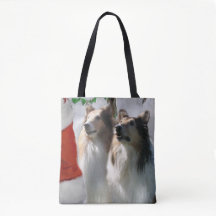 Navidades de Sable Rough Collie