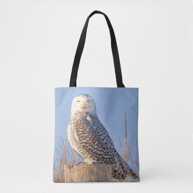 Bolso De Tela Nieve y tote (Anverso)