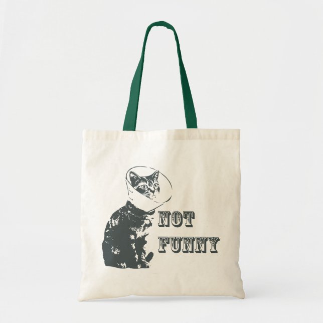 Bolso De Tela No divertido (Frente)