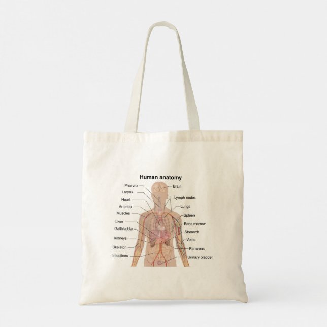 Bolso De Tela Organismos internos Organismos humanos anatomía co (Reverso)