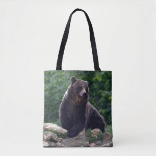 Bolso De Tela Oso de Brown